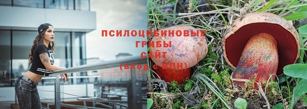 эйфоретик Инта