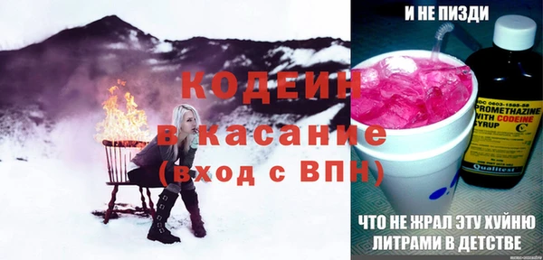 apvp Ельня