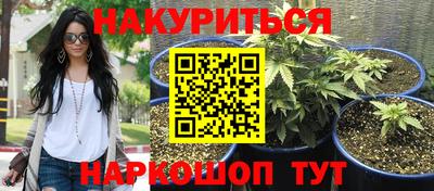 бошки Кимры