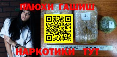 бошки Кимры