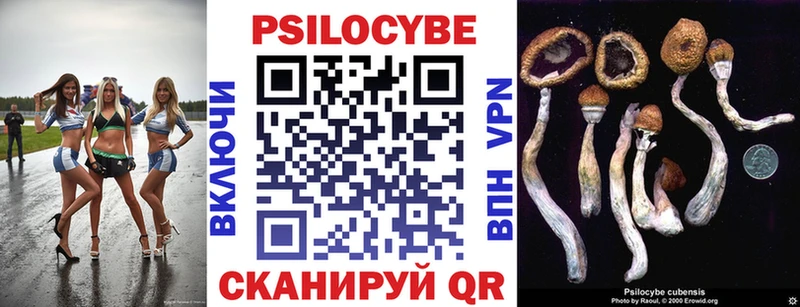 Псилоцибиновые грибы мицелий  Коряжма 