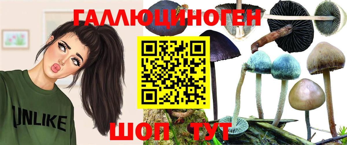 Галлюциногенные грибы прущие грибы Коряжма